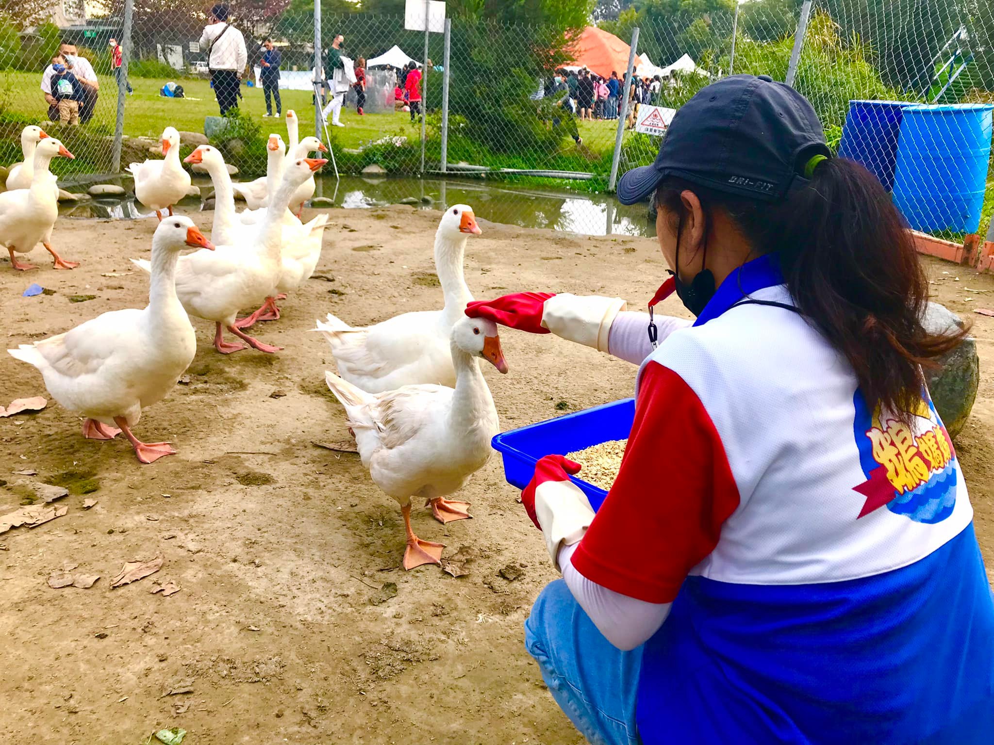 鵝媽媽鵝童樂園.img