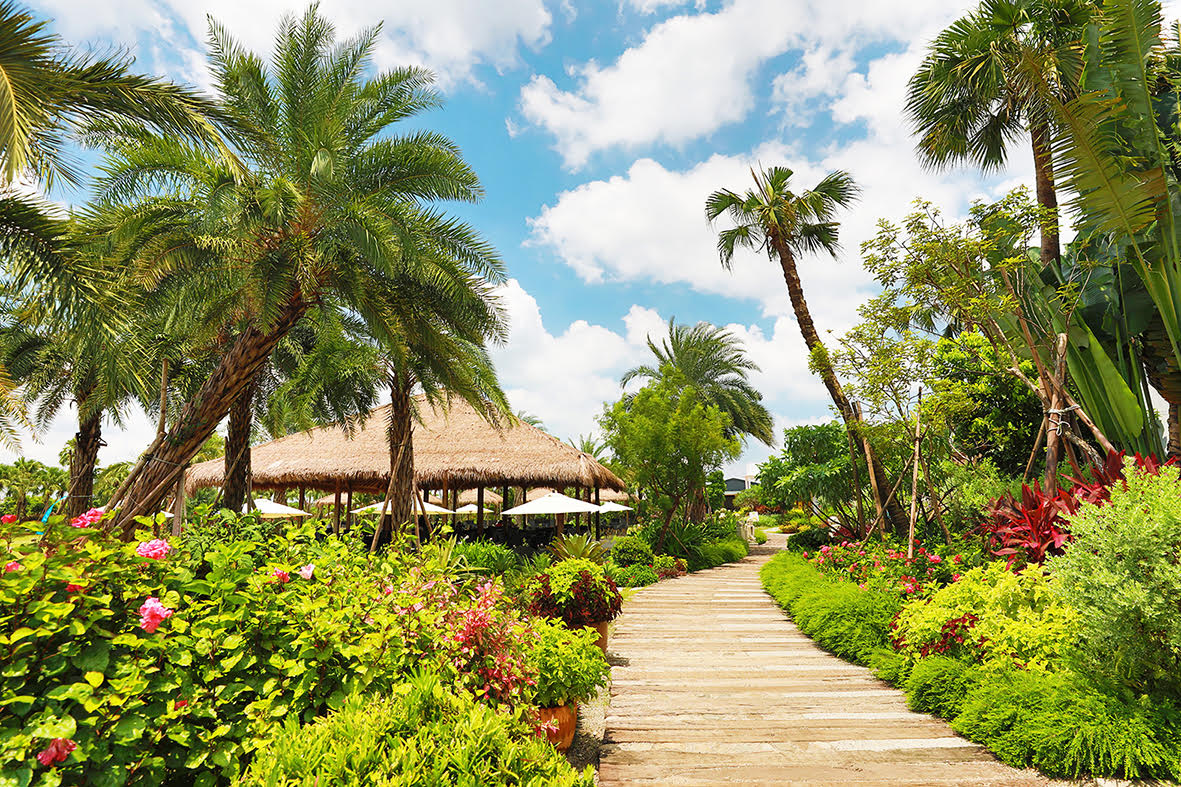 雅聞峇里海岸觀光工廠.img