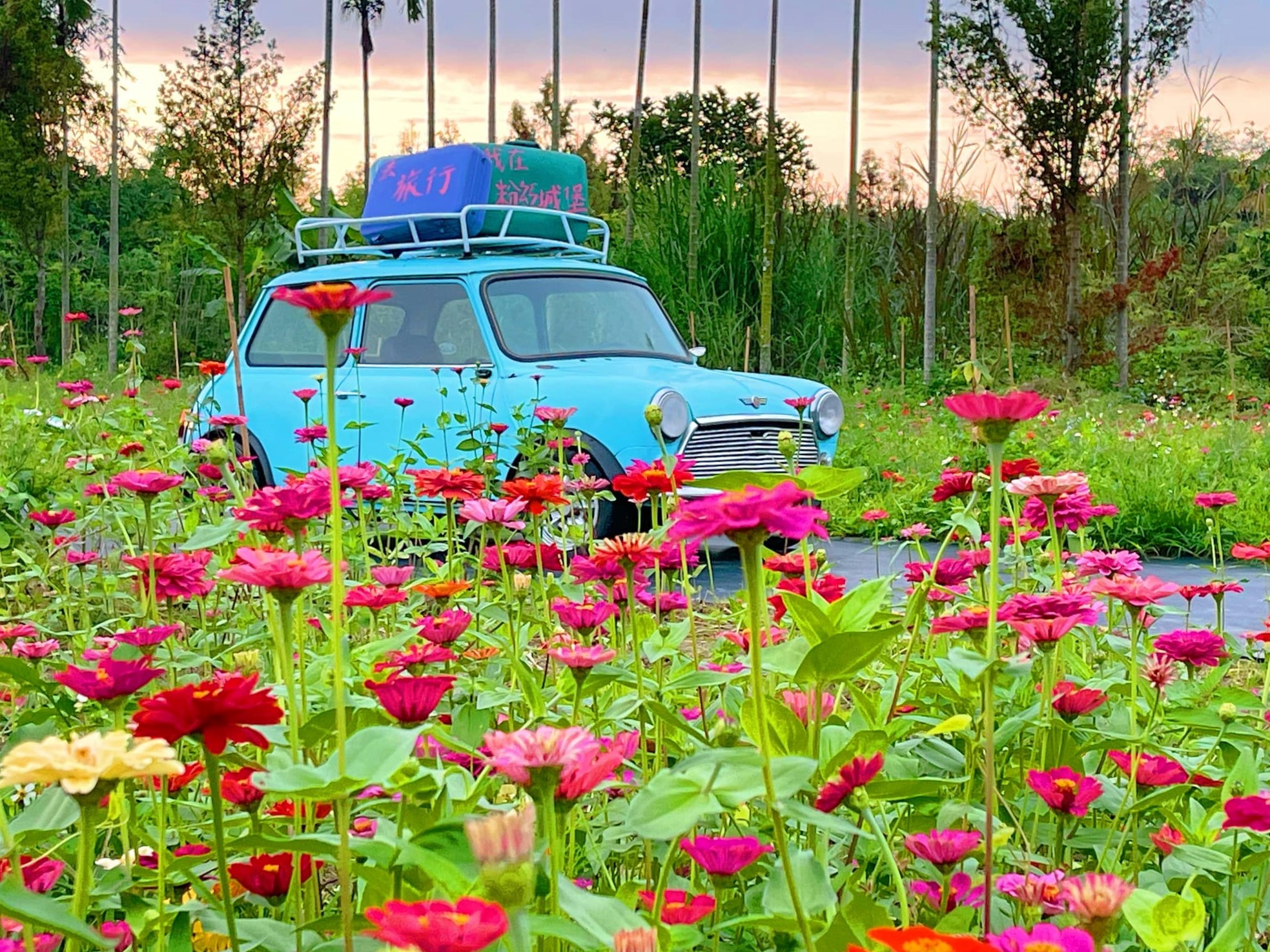 珍．粉紅城堡鹿角村.img