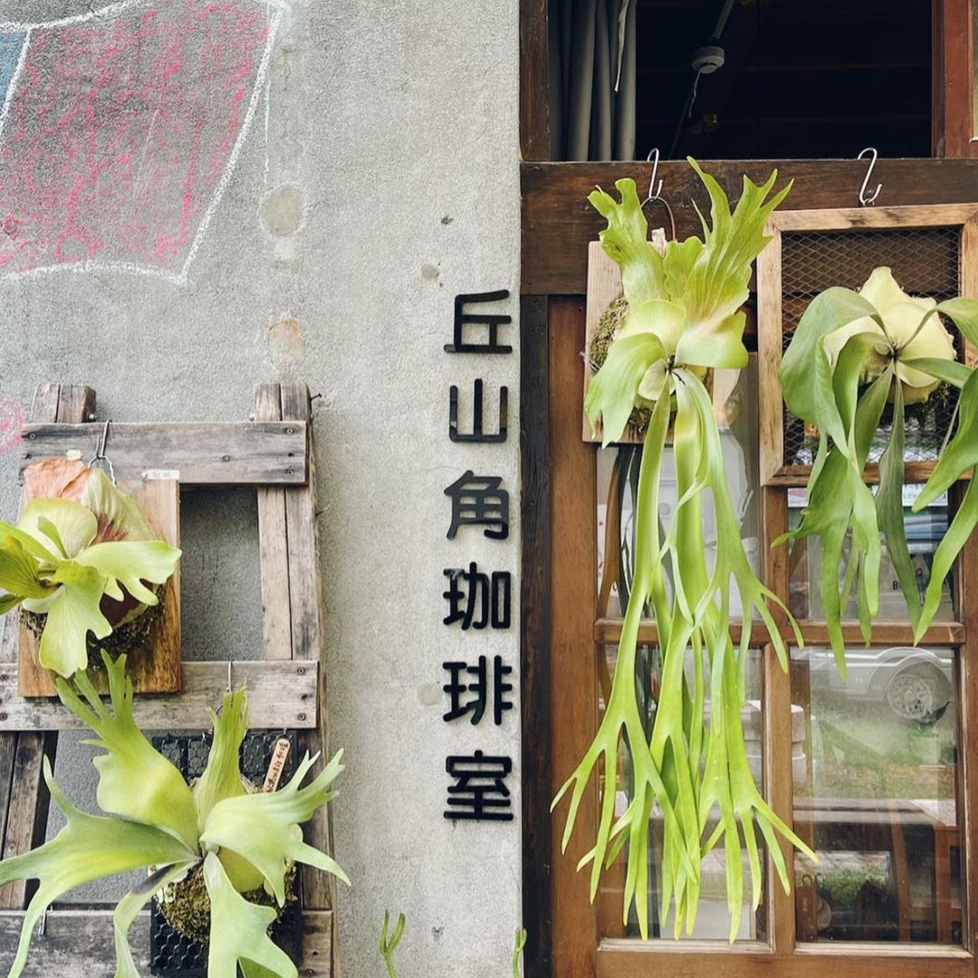 丘山角珈琲室.img