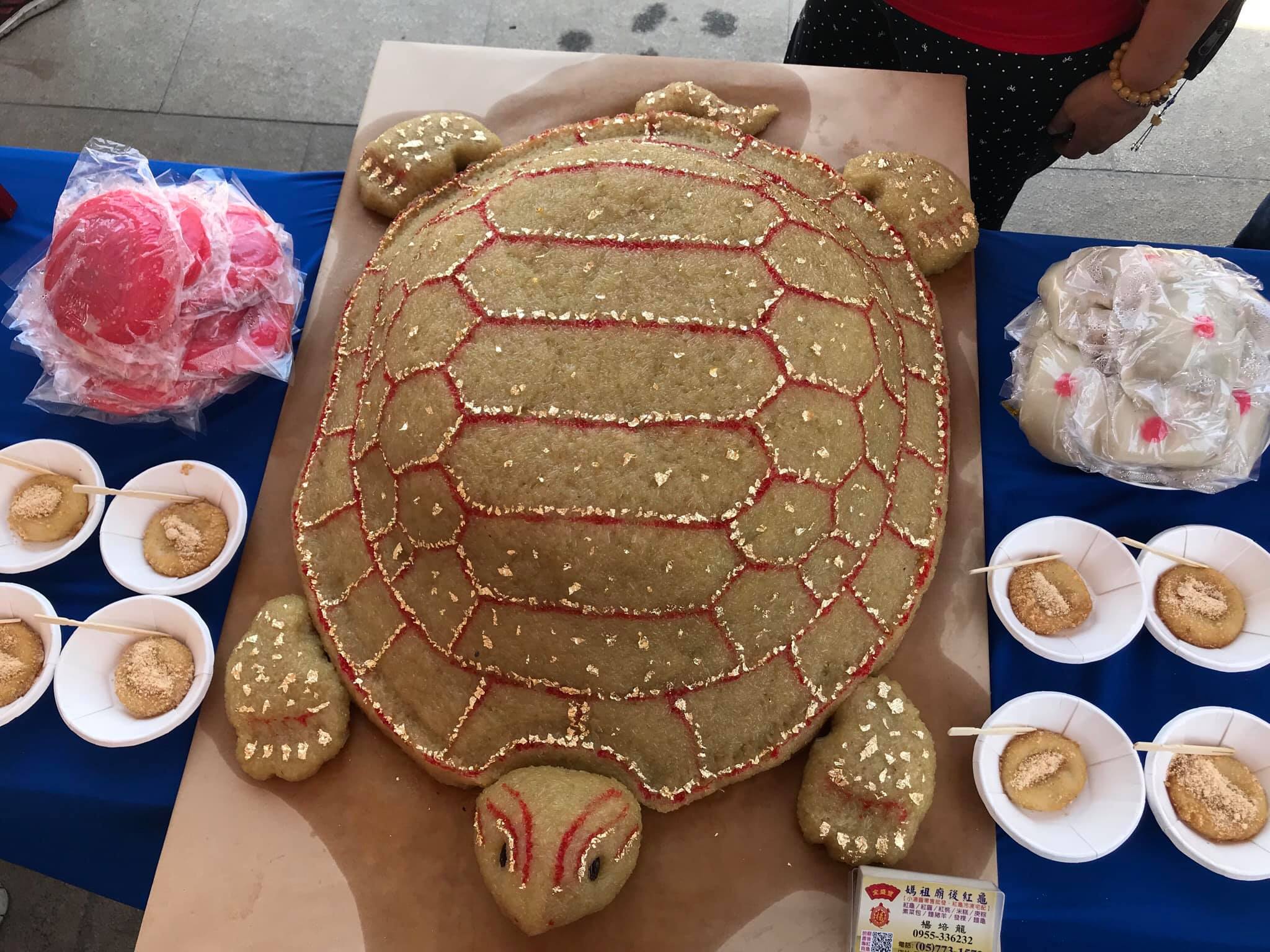 北港廟後紅龜.img