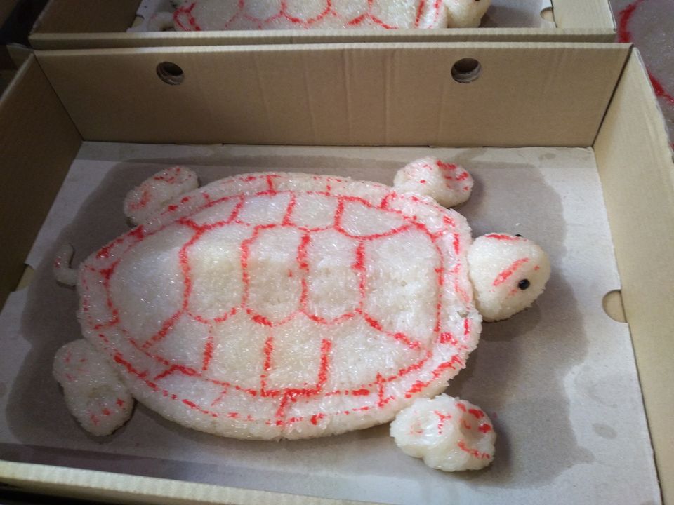 北港廟後紅龜.img