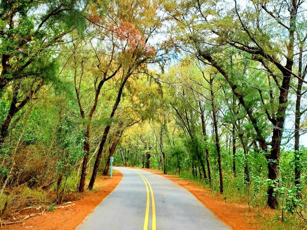 黑森林自行車道.img