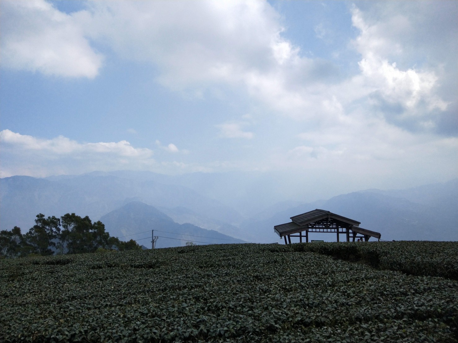 大尖山登山步道.img