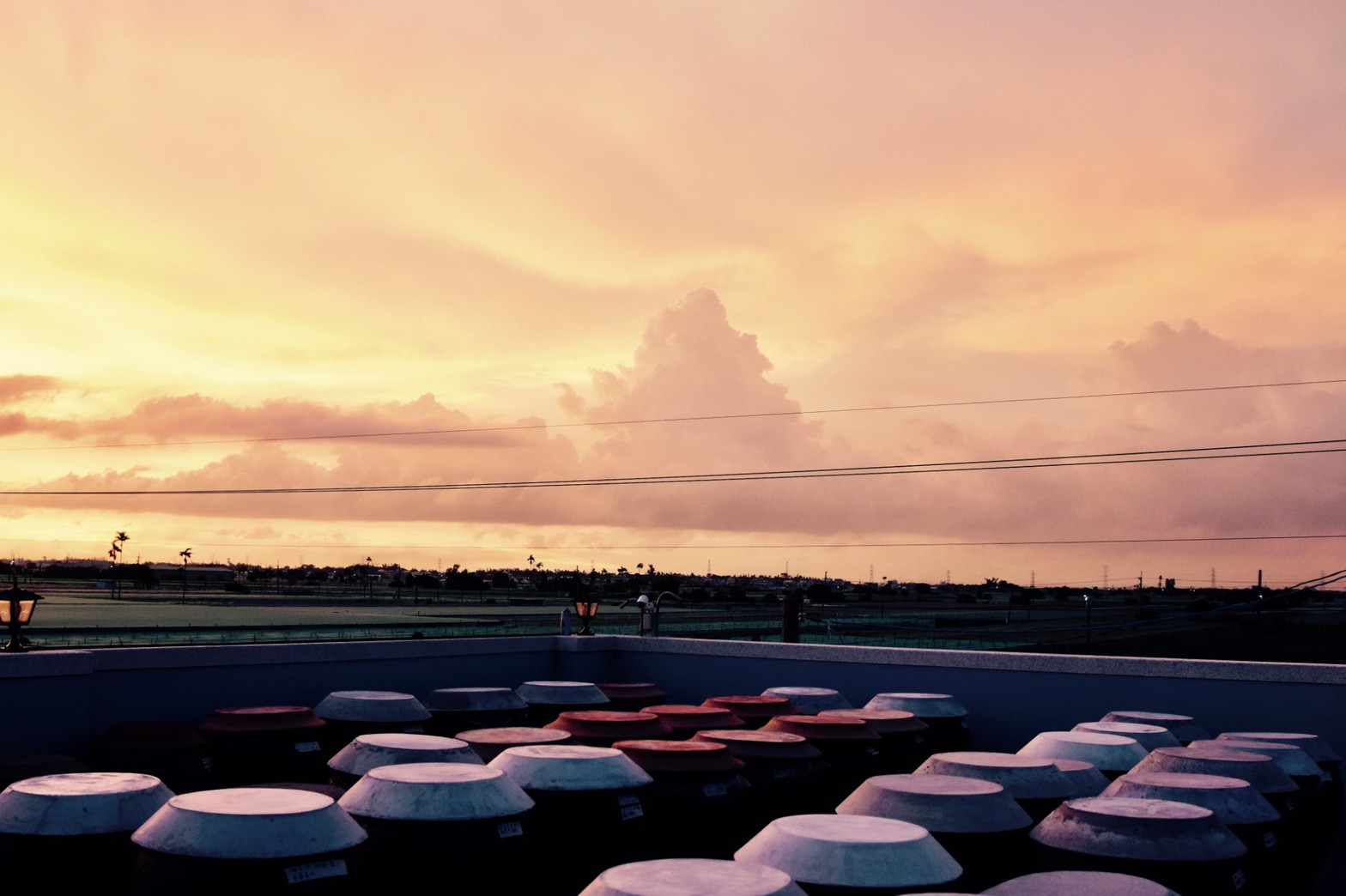 御鼎興純手工柴燒黑豆醬油.img