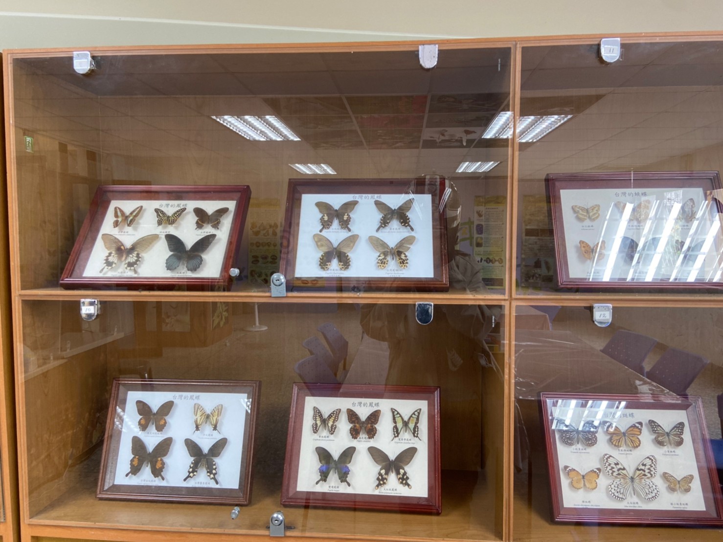 雲林縣蝴蝶故事館.img