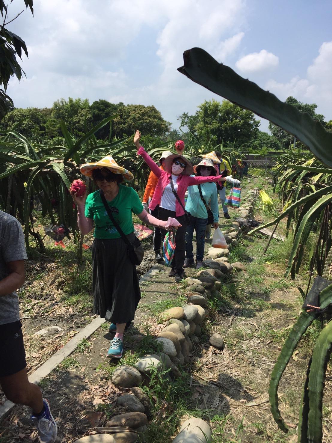 橙色農作休閒果園.img