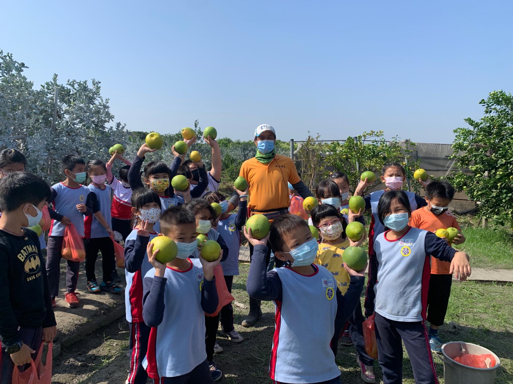 橙色農作休閒果園.img