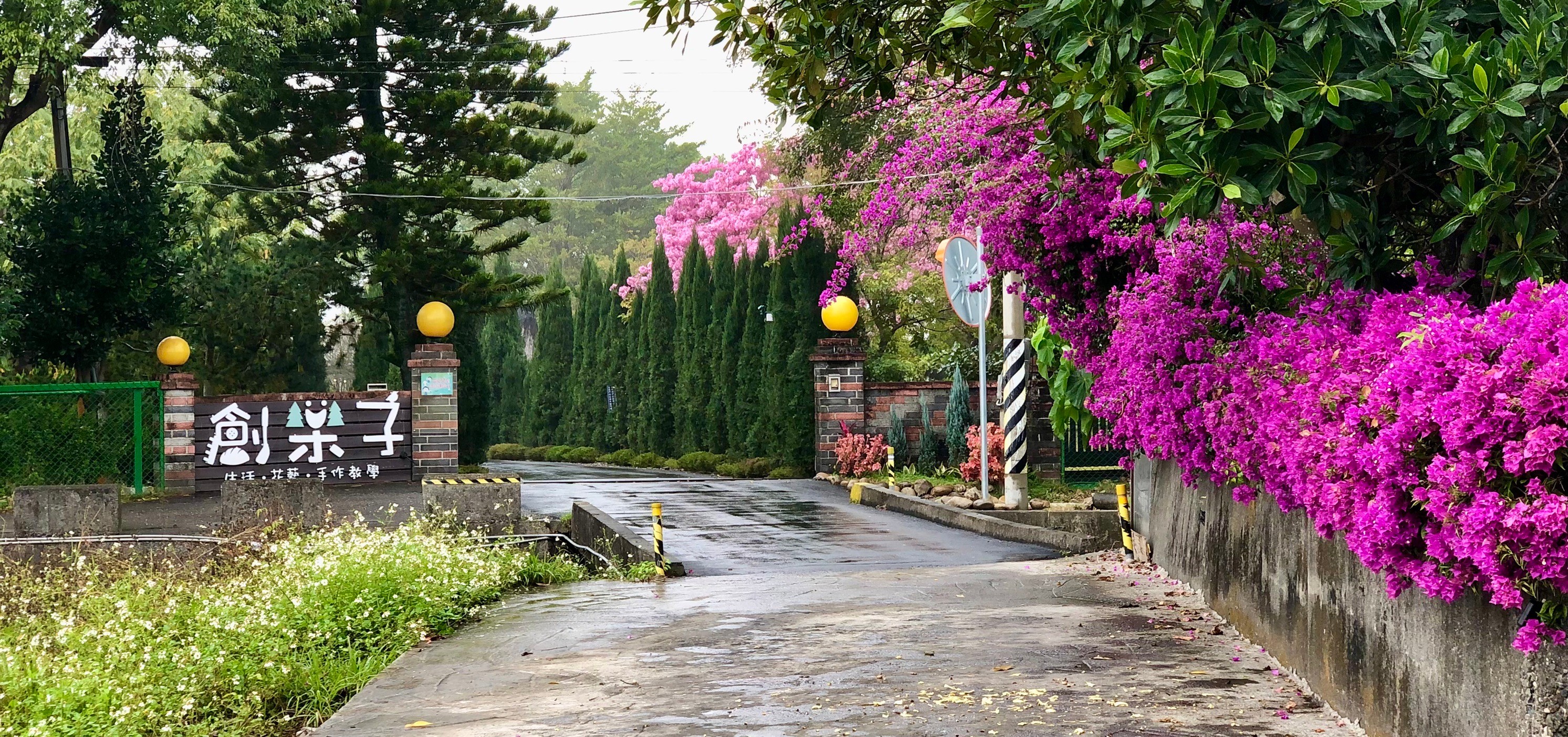 創樂子生活學苑.img