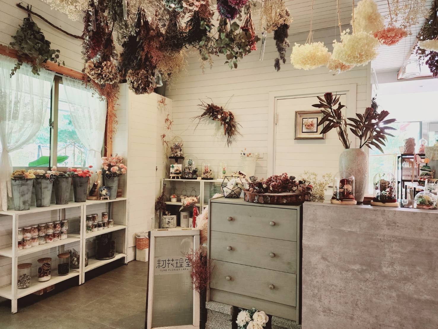 創樂子生活學苑.img