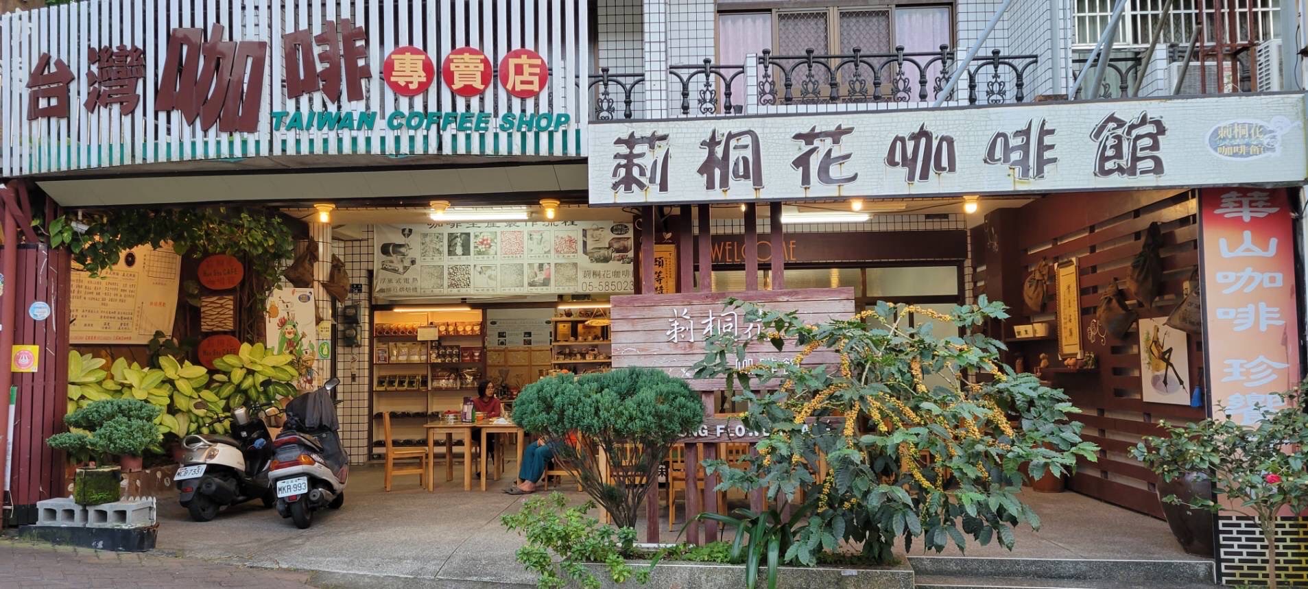 莿桐花咖啡館.img