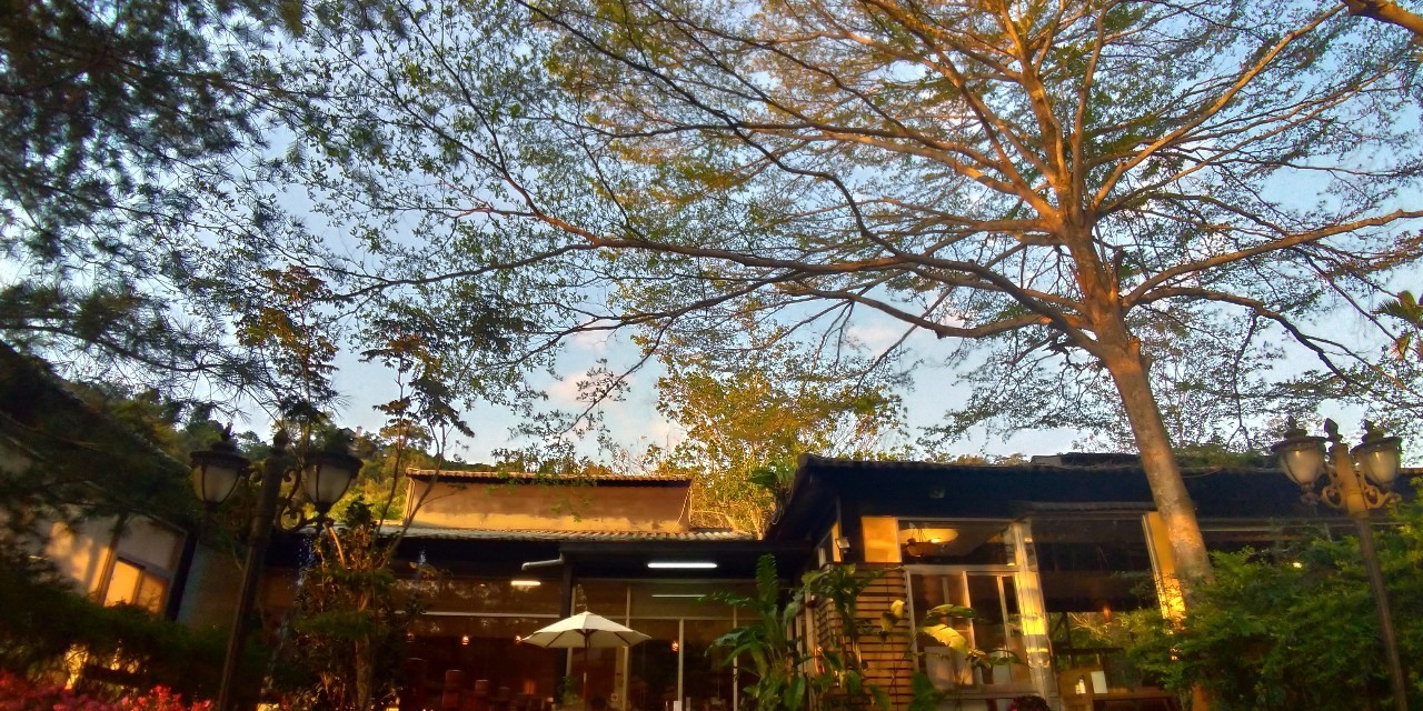 山妍慕夏莊園咖啡.img