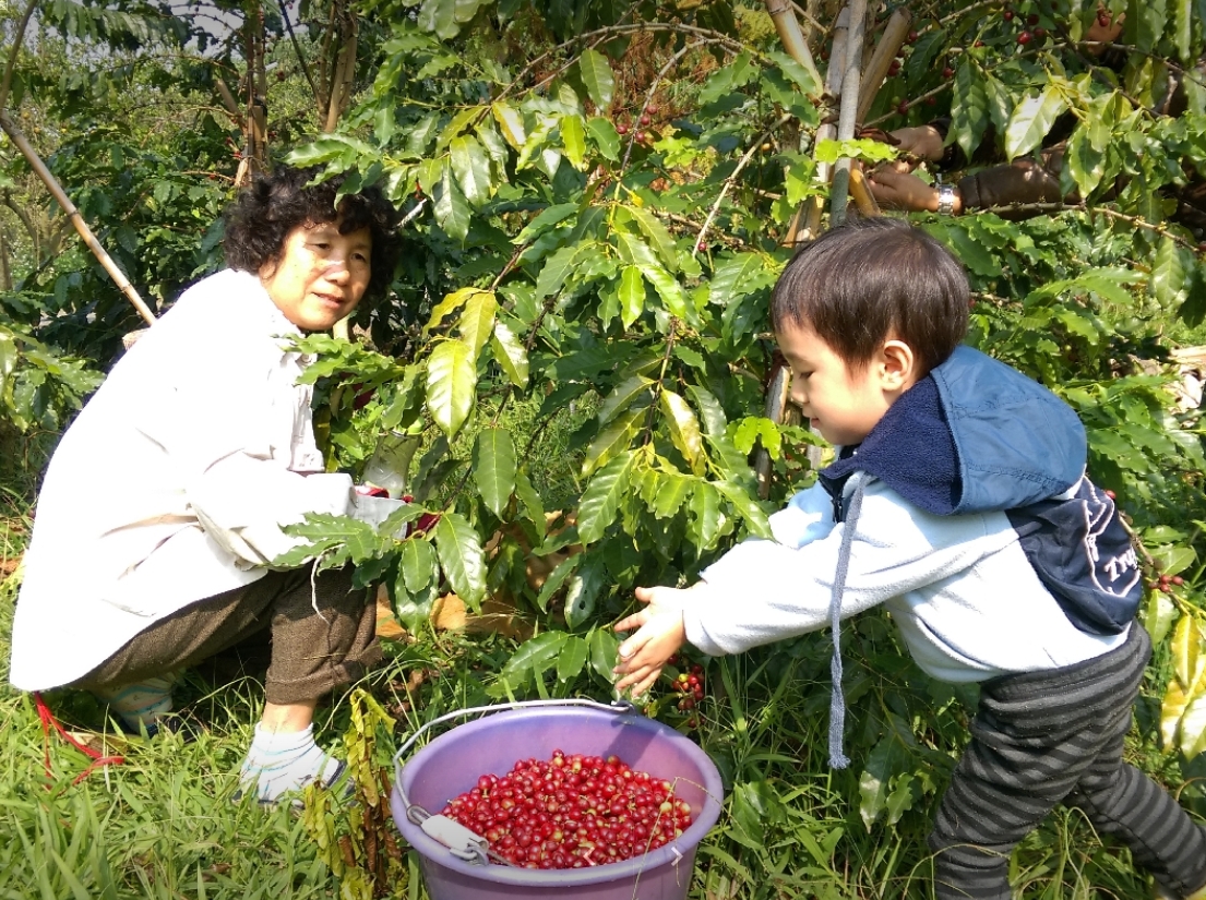 築夢園咖啡莊園.img