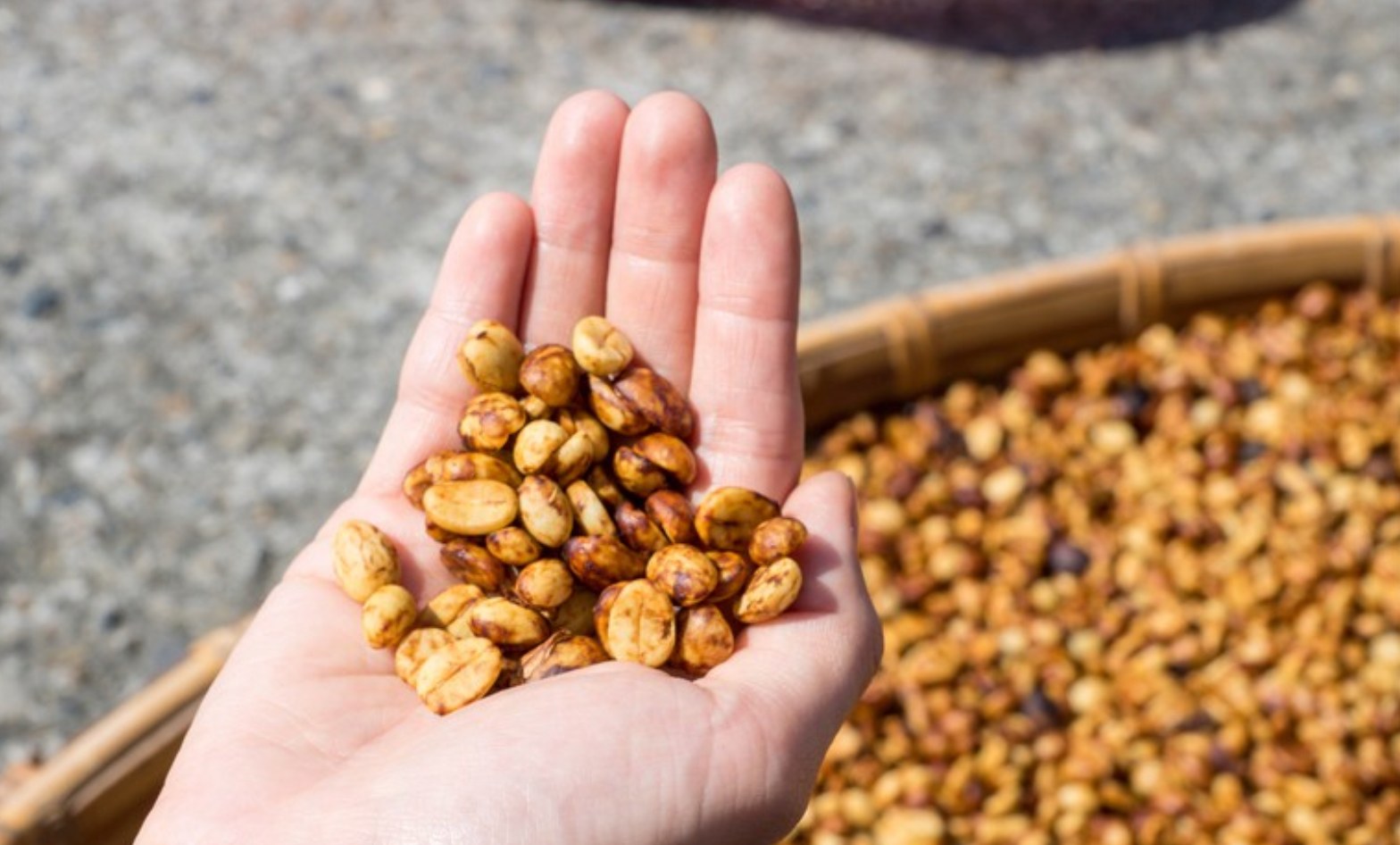 石墩庭園咖啡.img