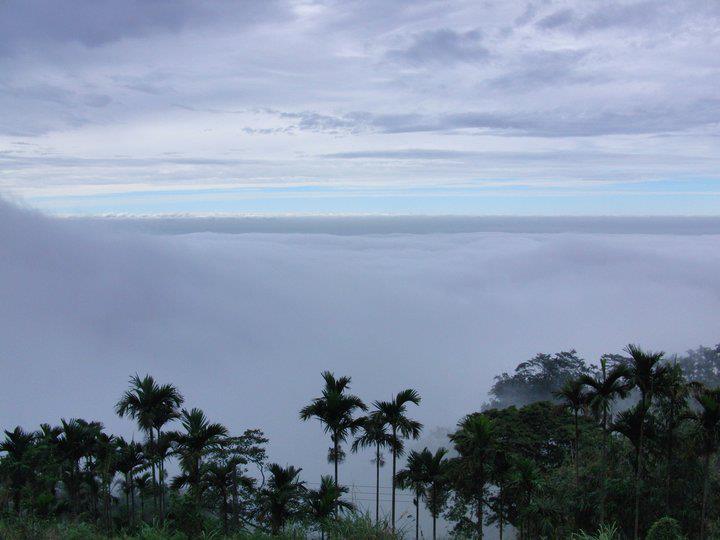 山海觀珈啡莊園.img