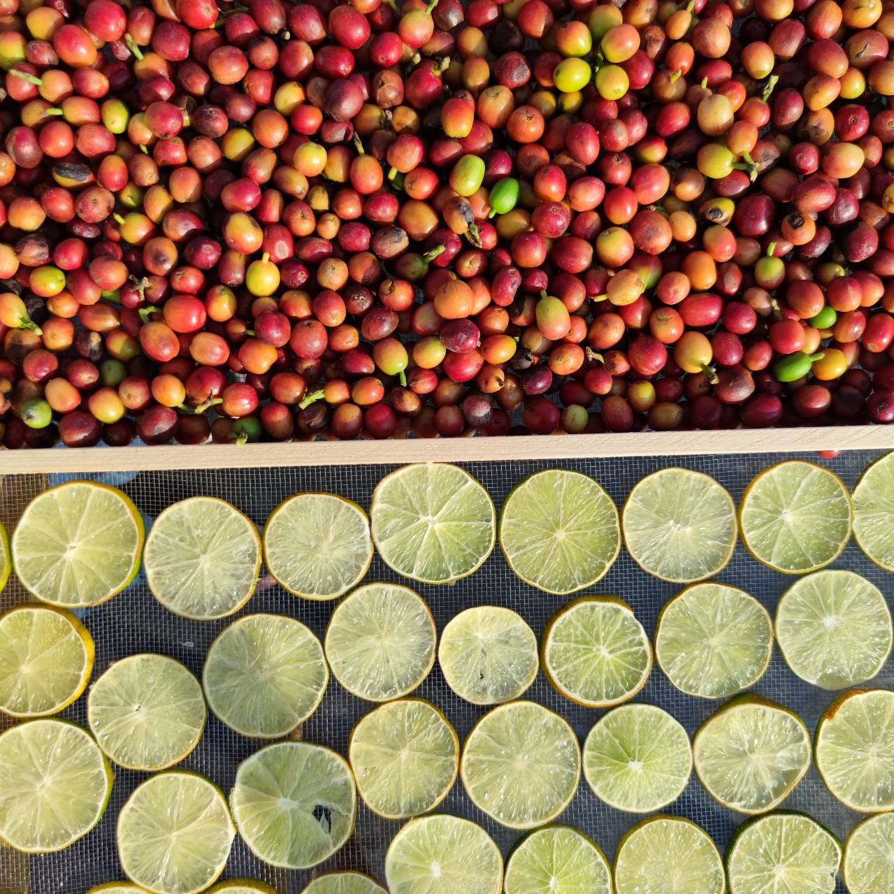 老菸樓檸檬咖啡.img