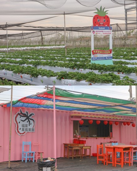 福家草莓果園.img