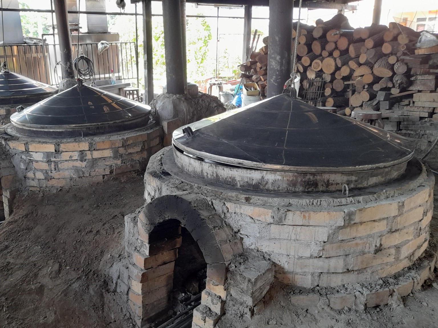 疼某雞湯龍澔潾商行.img