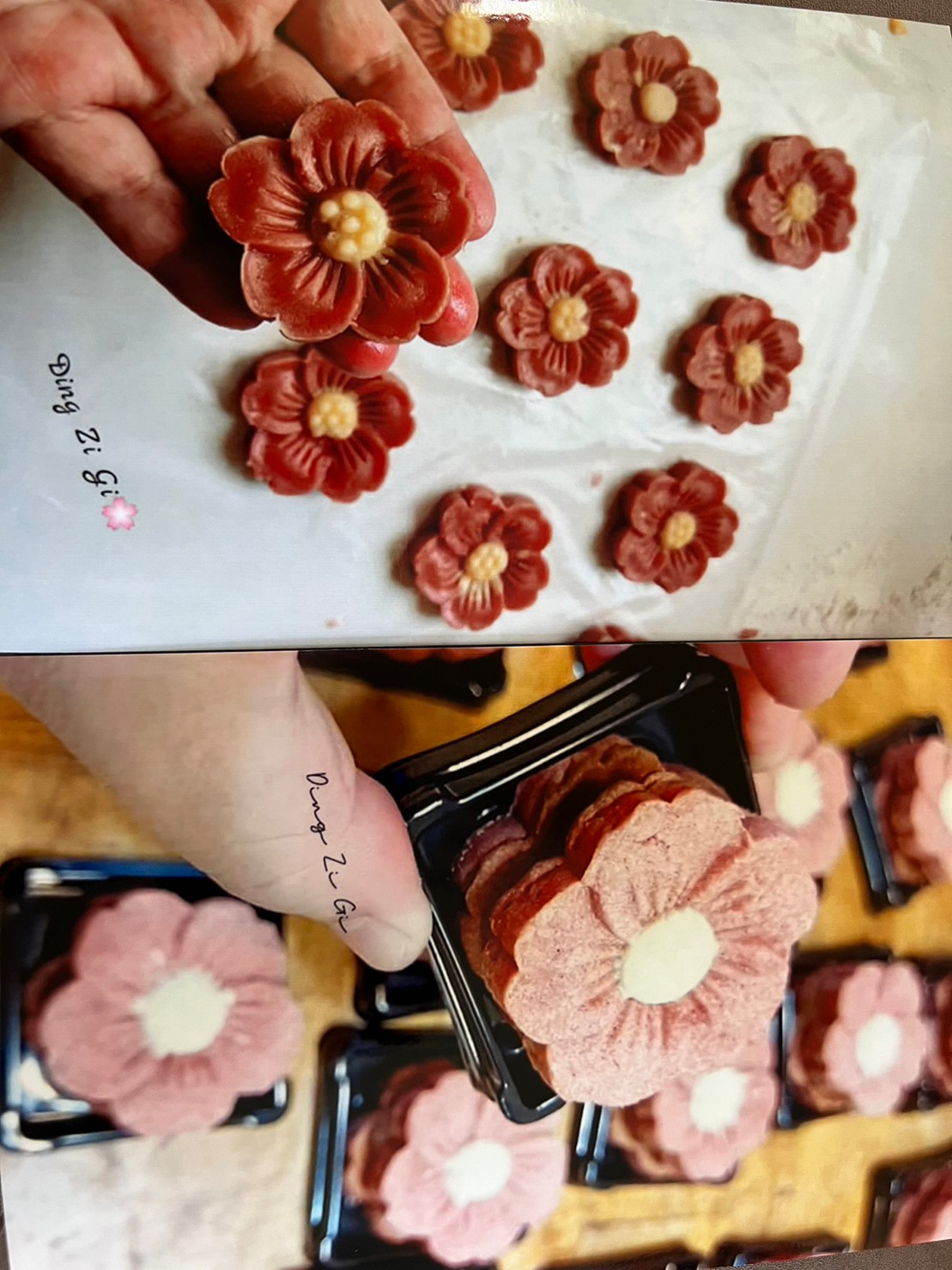 籽奇手作工作室.img