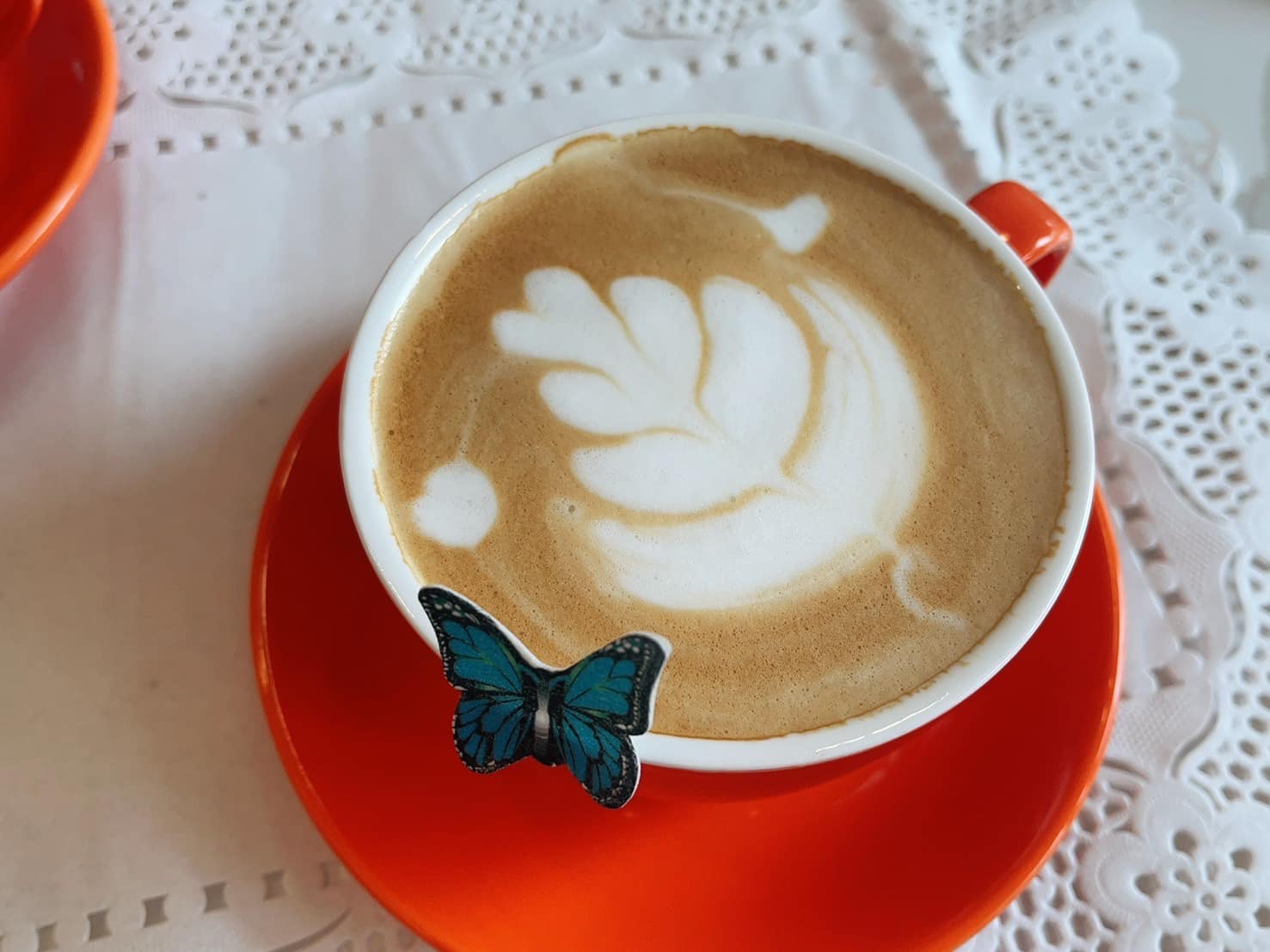 蝶舞松林咖啡館.img