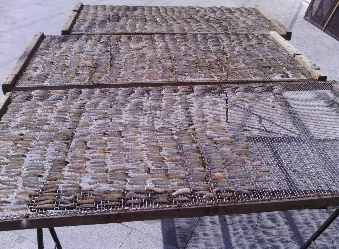 四湖功夫蝦乾.img