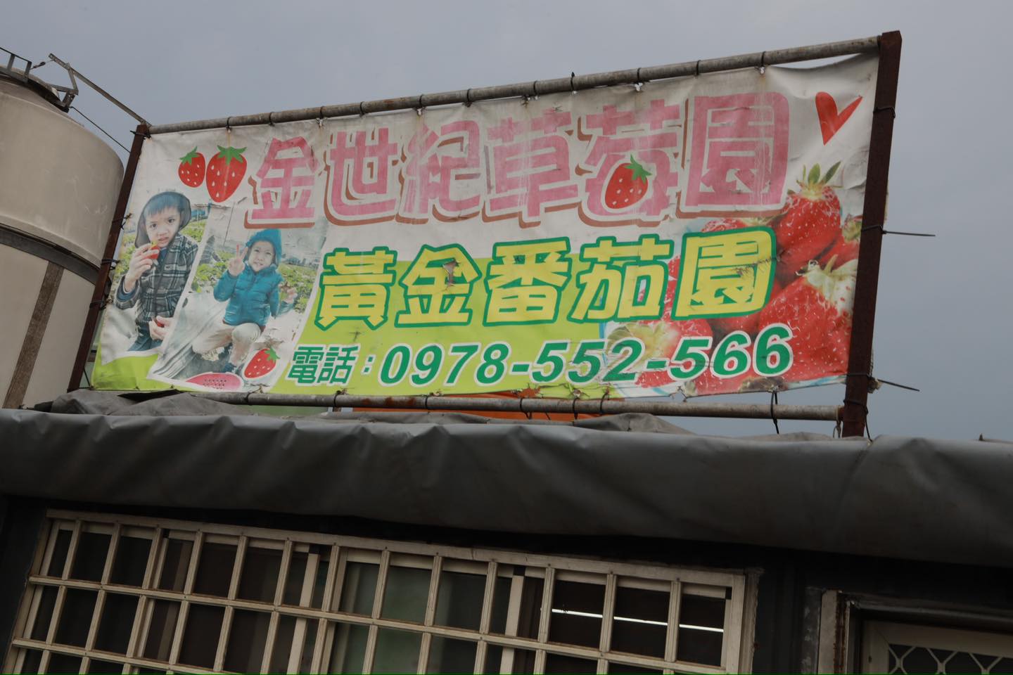 金世紀草莓園、黃金番茄園.img