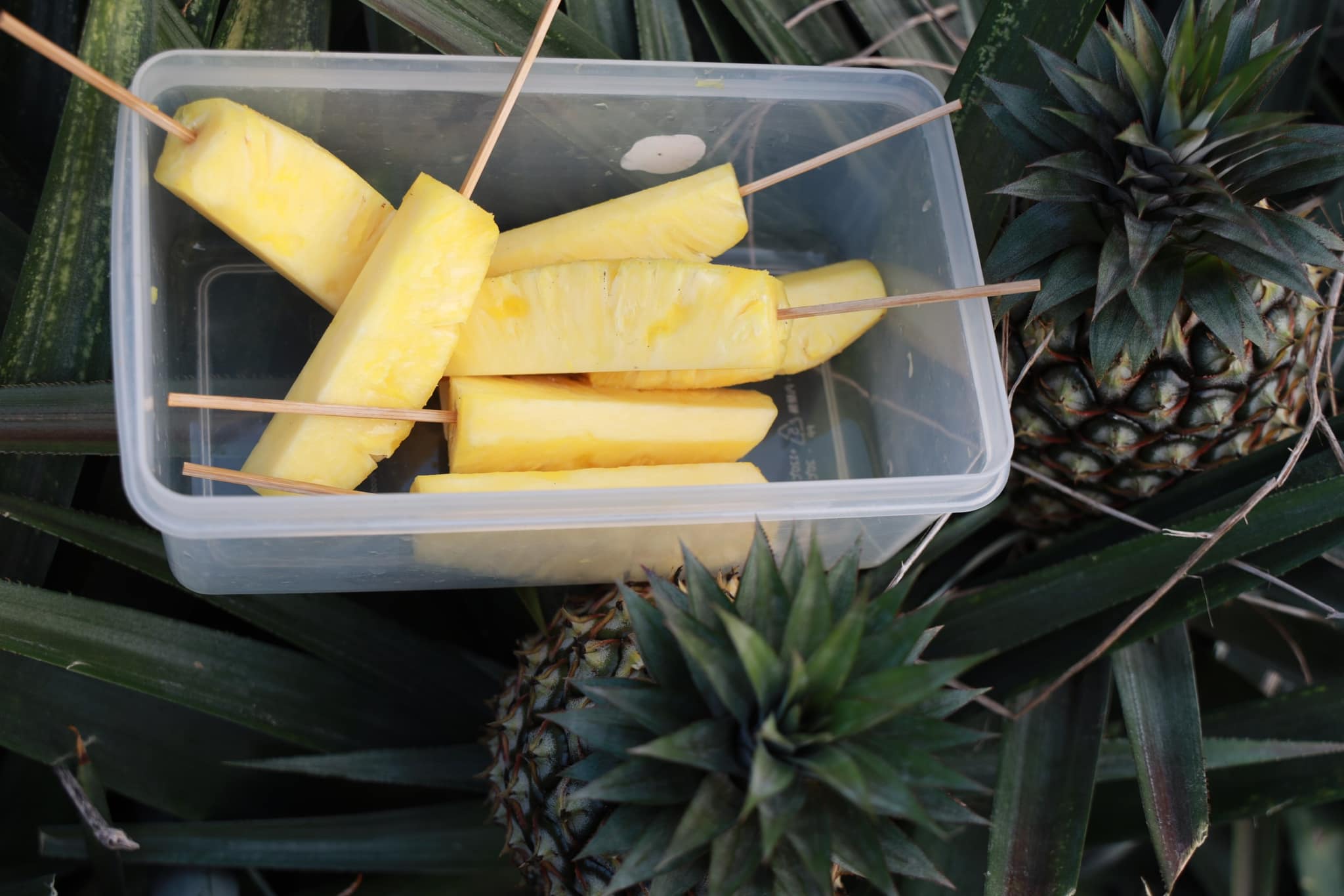 This味販賣部.img