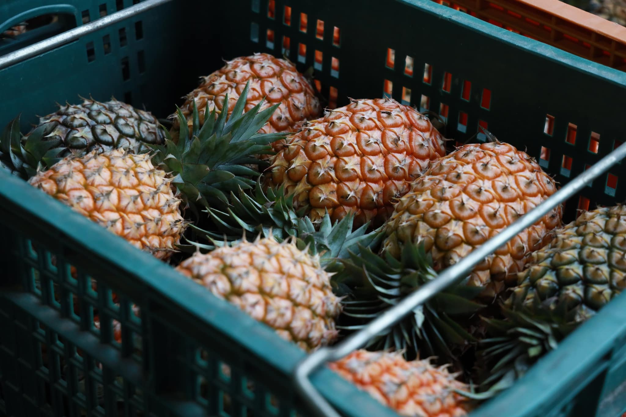 This味販賣部.img