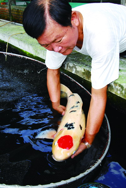 崙背欣昌錦鯉養殖場.img