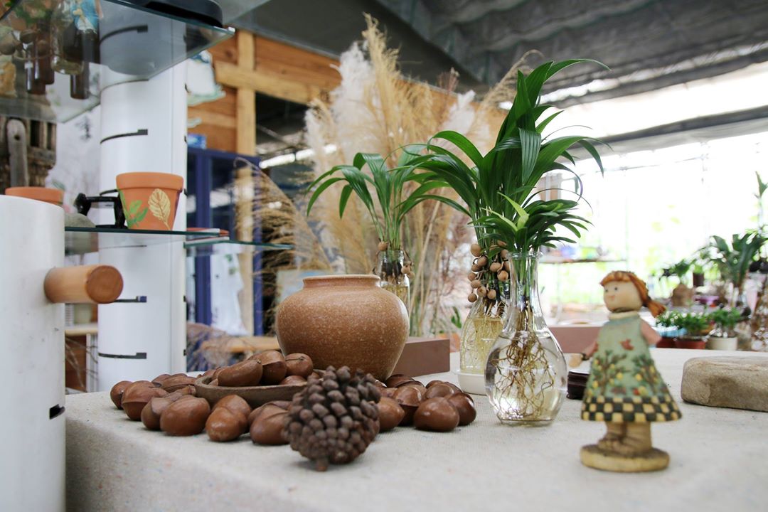 松花坡種苗園藝社.img