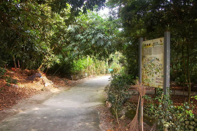 龍過脈森林步道.img